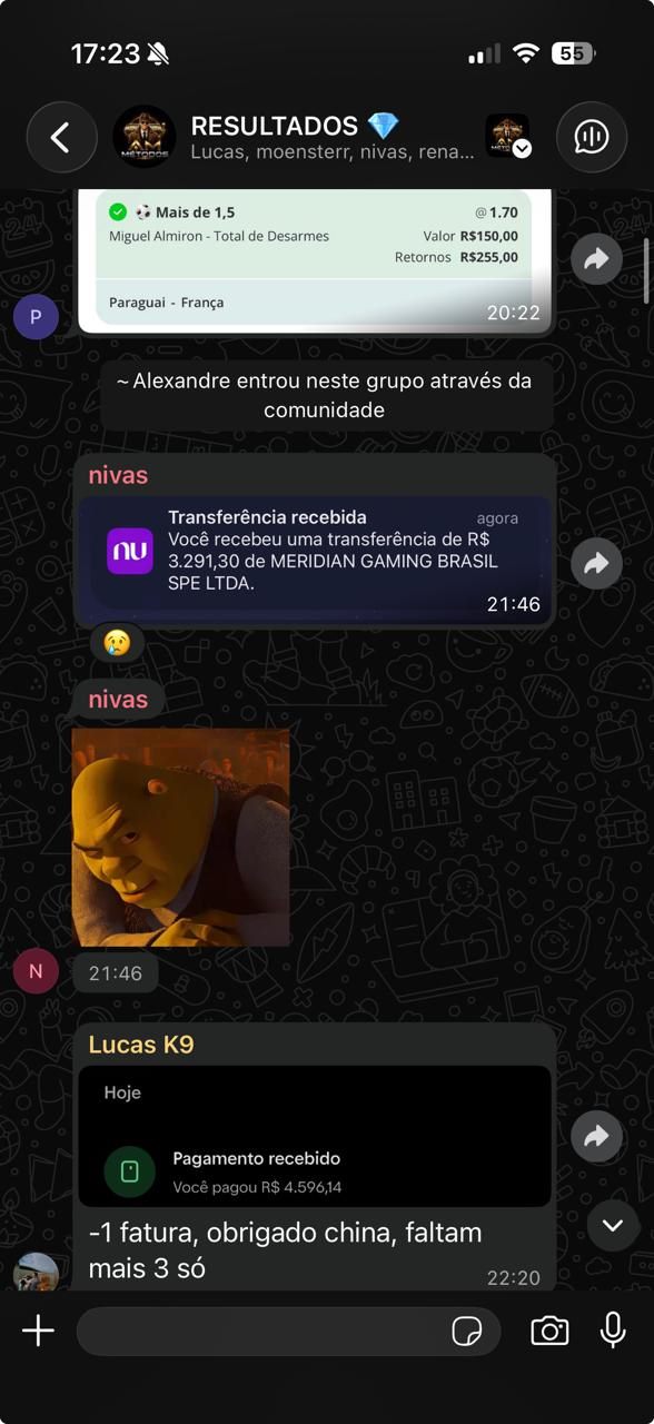 Feedback de aluno